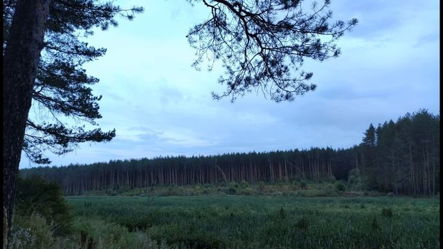 М Лермонтов  Благодарность #философскаялирика #поэты19века