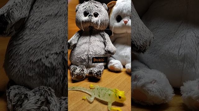 у БАСИКА и ЛИЛИ появился НОВЫЙ ПИТОМЕЦ #басик