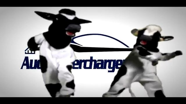 Audi Superchargers UK Dancing Cows Intro 2013 смотреть онлайн