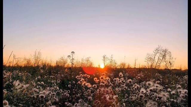 А Блок  Я шёл к блаженству  Путь блестел