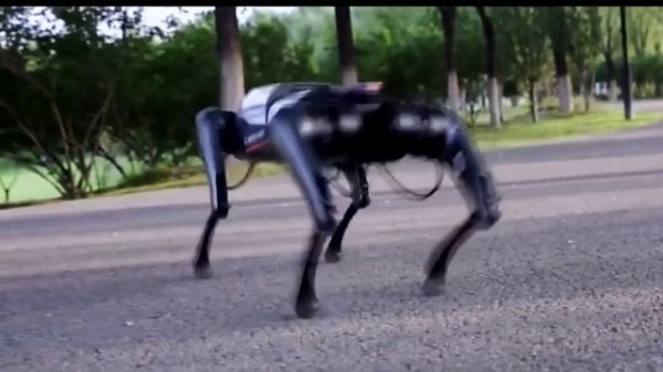 Xiaomi Cyber Dog vs Boston Dynamic Spot: Awesome Robot Dog