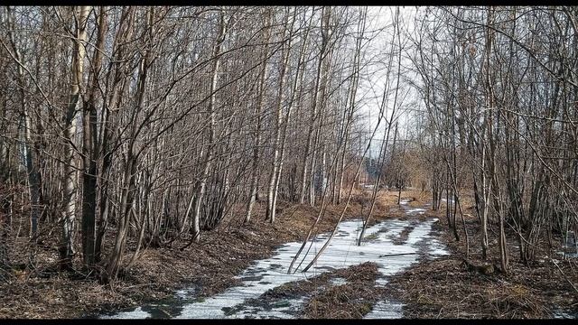 Э Асадов  Друг без друга у нас получается всё #поэты20века #стихиолюбви #стихиоразлуке