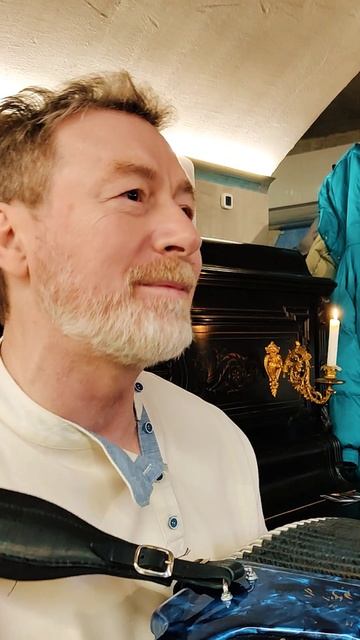 День рождения #баянист @ivanovsongs смотреть онлайн