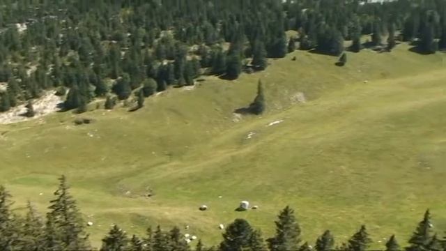 Les activités du club смотреть онлайн