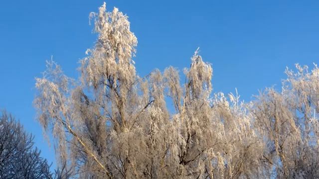 ХРУСТАЛЬНЫЙ МИР