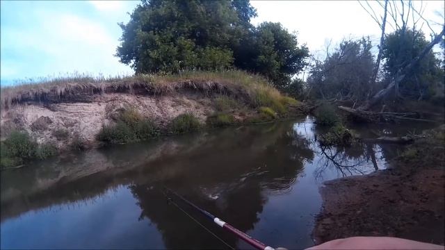 Мікро жерех на мікрорічці смотреть онлайн
