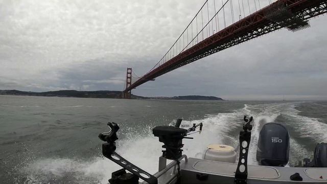 Epic Day of Fishing Right Next to the GOLDEN GATE BRIDGE смотреть онлайн