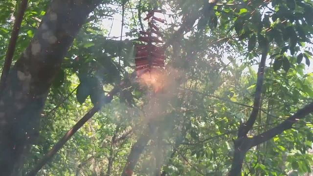50 Mini Firecrackers смотреть онлайн