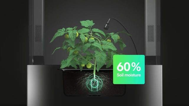 Plantee – The Smart Indoor Greenhouse смотреть онлайн