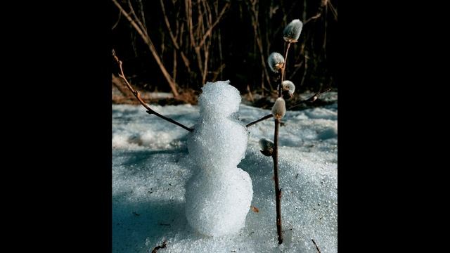 Б  Пастернак  Опять весна #стихиовесне #поэтысеребряноговека