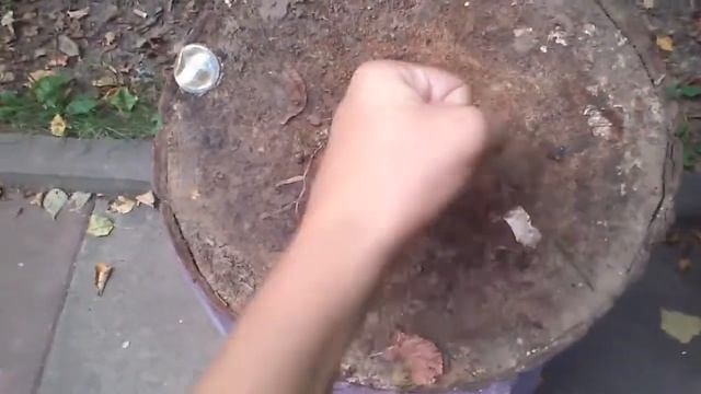 Как ударить пень смотреть онлайн