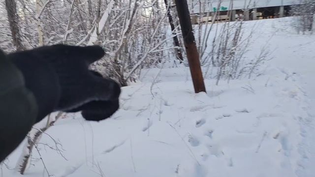 28 декабря 2024 лайф формат ЗАБИРАЮ СВАРОЧНЫЙ АППАРАТ смотреть онлайн