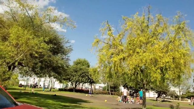 The Mexico You Need To Know смотреть онлайн