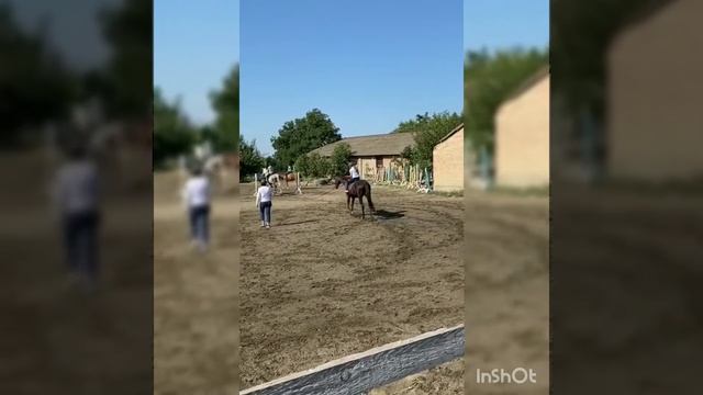 Галопом, занятия верховая езда 23 августа 2020 г. смотреть онлайн