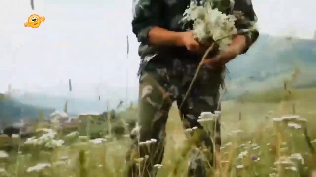 🌳Сибирское здоровье - Душа Сибири ❄️ смотреть онлайн