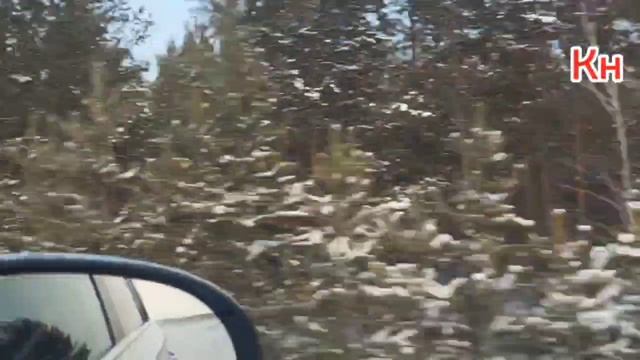 Милая сердцу погода