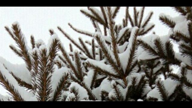 В Высоцкий  Сколько павших бойцов полегло вдоль дорог    #поэзия20века #стихиовойне #авторская песня