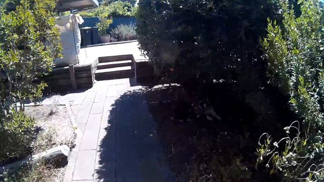 Testing SJCam M10 смотреть онлайн