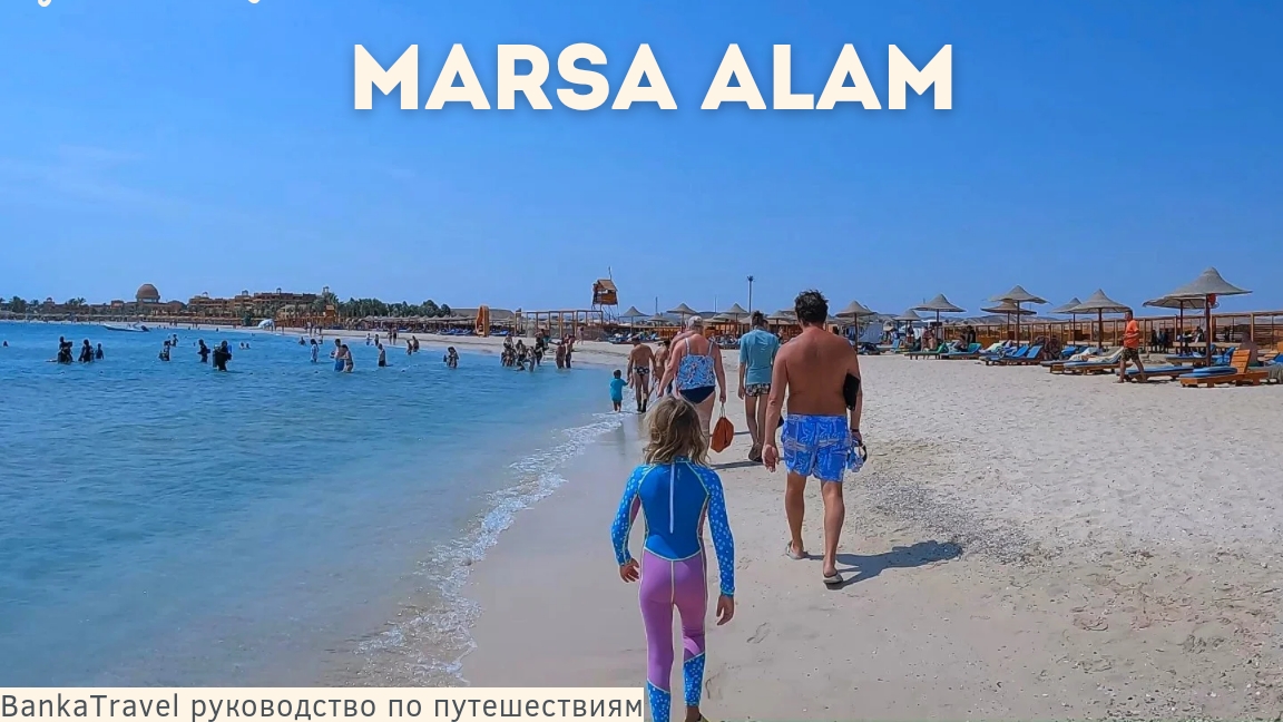 Такого мы не ожидали! Дельфины, Дюгонь, рифы и лучший пляж в Дахабе и Марса-Аламе. Египет смотреть онлайн