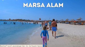 Такого мы не ожидали! Дельфины, Дюгонь, рифы и лучший пляж в Дахабе и Марса-Аламе. Египет