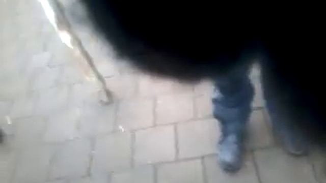 Разбиение апельсина смотреть онлайн