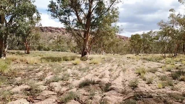 My Mavic Visits Alice Springs смотреть онлайн