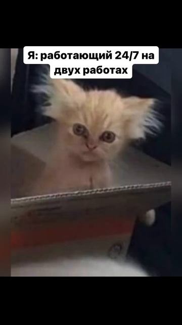 Пригон авто из Европы под ключ Андрей +79155858944 #shorts смотреть онлайн