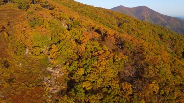 Чёрный куст или соседняя гора г. Находка (аэросъёмка) смотреть онлайн