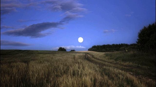 С  Есенин  Неуютная жидкая лунность #стихиородине #поэтысеребряноговека