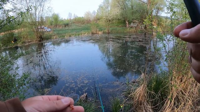 На Дикій Водоймі Клюють Дикі Істоти. Поплавочна риболовля та несподіваний улов смотреть онлайн