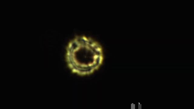 Collimation on a Star - Star Test смотреть онлайн