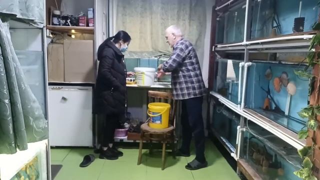 Куда девать бракованных дискусов? смотреть онлайн