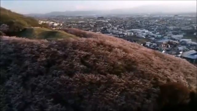 תניא בעל פה פרק 2 / Тания наизусть глава 2 смотреть онлайн