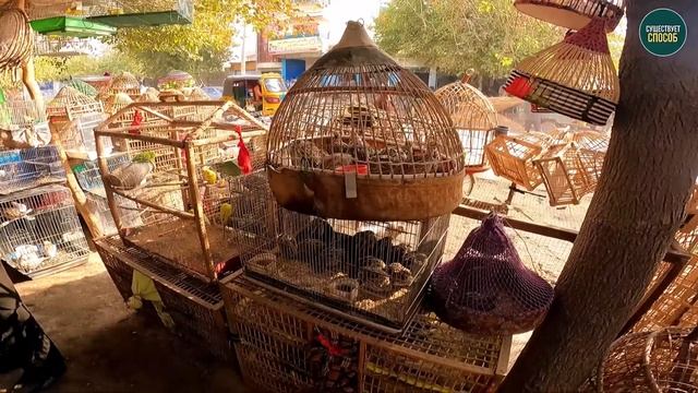 ТУРИЗМ В АФГАНИСТАНЕ. КАК ЖИВËТ АФГАНИСТАН ПРИ ТАЛИБАХ? AFGHANISTAN. TOURISM AND TALIBAN.