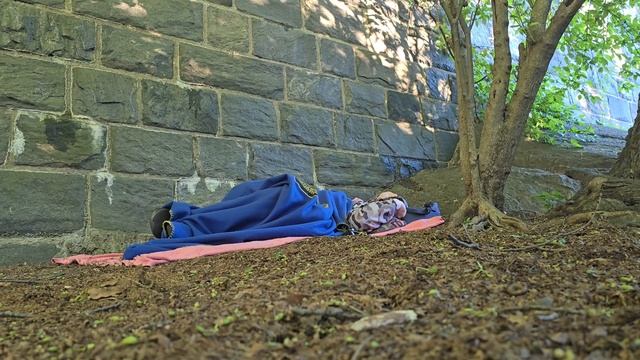 Живу в США как собака. Ушёл жить на улицы Нью Йорка. Маразм крепчает. смотреть онлайн