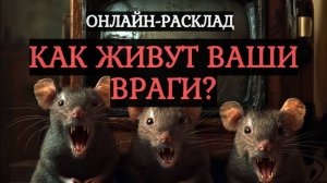 КАК ПОЖИВАЕТ ВАШ ВРАГ, НЕДОБРОЖЕЛАТЕЛЬ? ОНЛАЙН-РАСКЛАД ТАРО