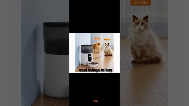 Lensoul upgraded pet Feeder | Best Automatic Cat Feeder | Cool Things To Buy On Amazon смотреть онлайн