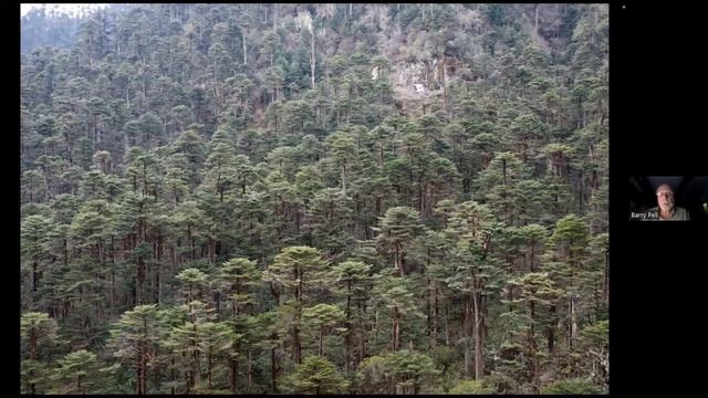 Milton Library Lectures: Bhutan, Travels in the Land of the Thunder Dragon - March 11th, 2023 смотреть онлайн