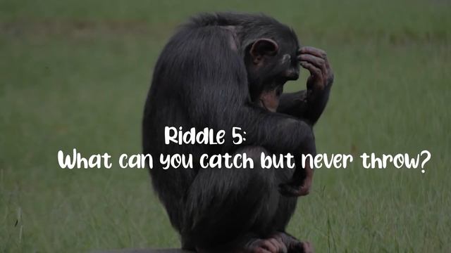 Hard Riddles Series Level 2 - Best Brain Exercise - For Smart Persons смотреть онлайн
