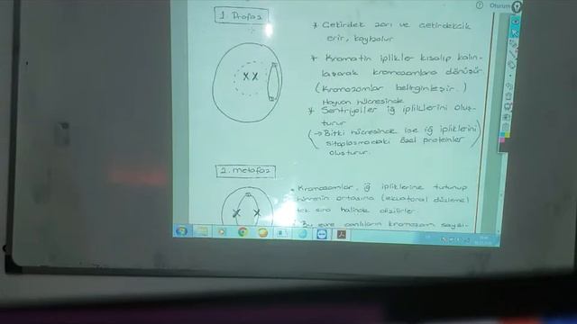 mitoz evreler 3 смотреть онлайн