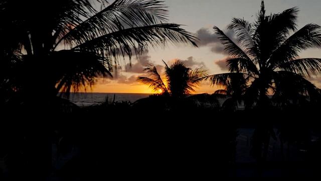 Aerial Elegance: Flying the DJI Mini 4 Pro through Miami Beach смотреть онлайн