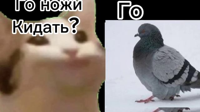 сериал: жизнь зверя. 1сезон 1 серия. НАЧАЛО смотреть онлайн