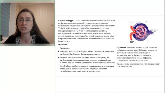 Мочевыделительная система и профилактика. Е. Михайлова смотреть онлайн