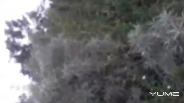 Прятки смотреть онлайн