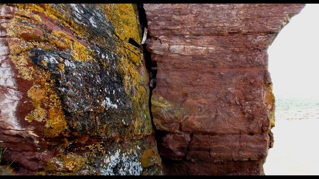 М  Лермонтов  Два великана #гражданскаялирика #поэты19века