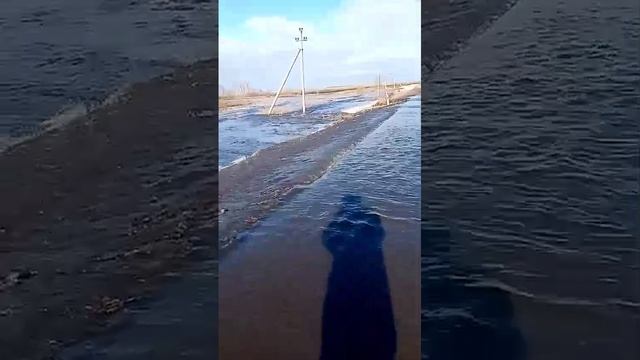 поля растаили