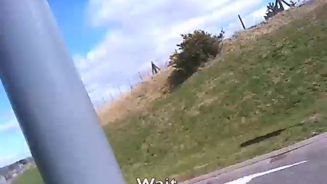 Switchback Toucan смотреть онлайн