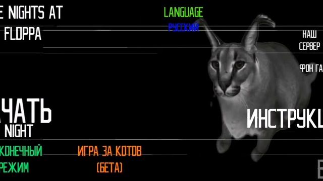 шлёпа ест пельмени