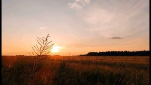 В Набоков  Что нужно сердцу моему  #стихиосчастье#философскаялирика #поэты20века