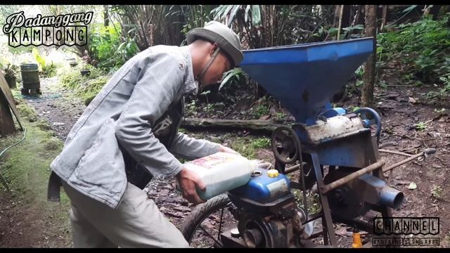 Huller Biji KOPI ROBUSTA Yang Telah Di Jemur 1 Tahun Tanpa Matahari ●Kopi Labbo